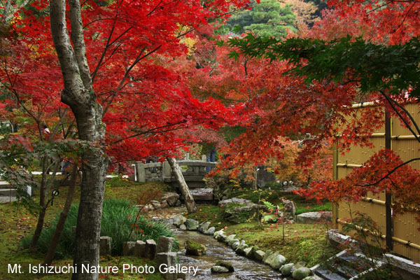 kyoto (047)